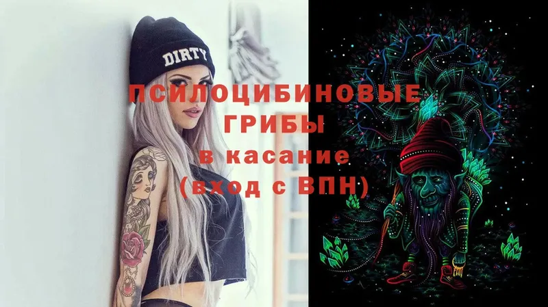 Псилоцибиновые грибы Magic Shrooms Афипский